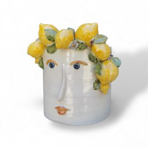 VISOVASO MEDIO A LUMIA